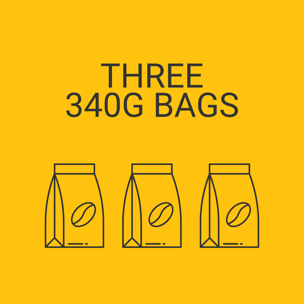 Monthly Subscription 340g | 3 bags
